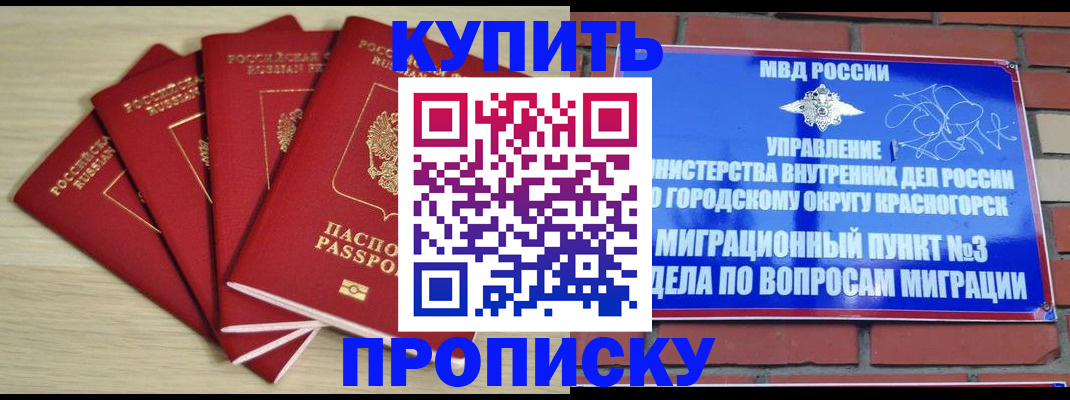пропишу в квартире в Балашихе